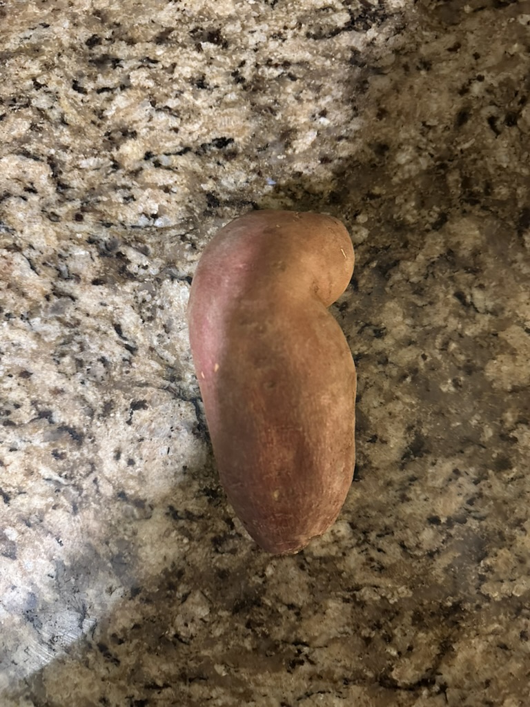 1 sweet potato on counter top